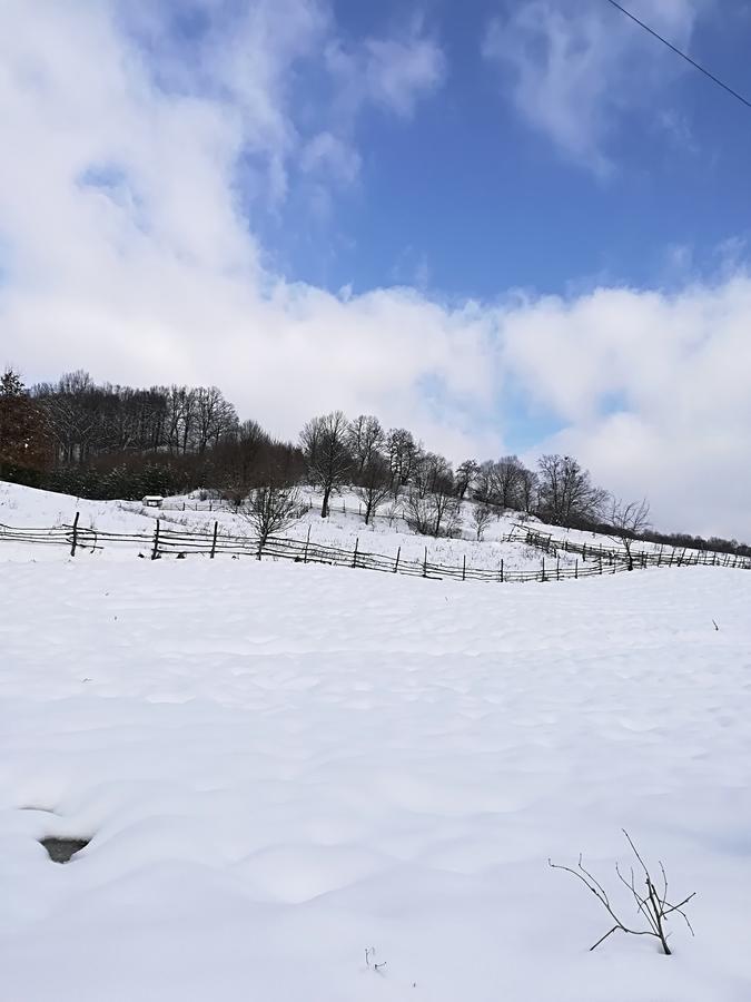 Vila Margareta Curtea de Argeş Exteriér fotografie
