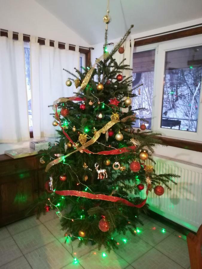 Vila Margareta Curtea de Argeş Exteriér fotografie