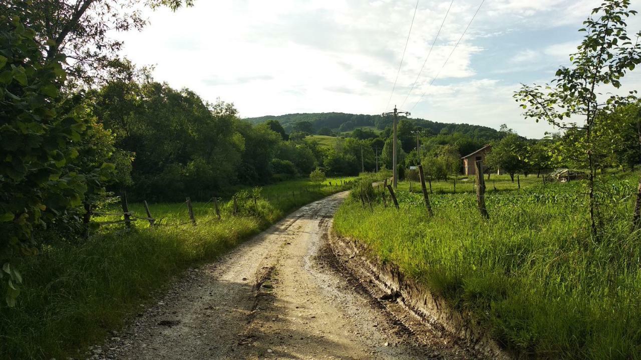 Vila Margareta Curtea de Argeş Exteriér fotografie